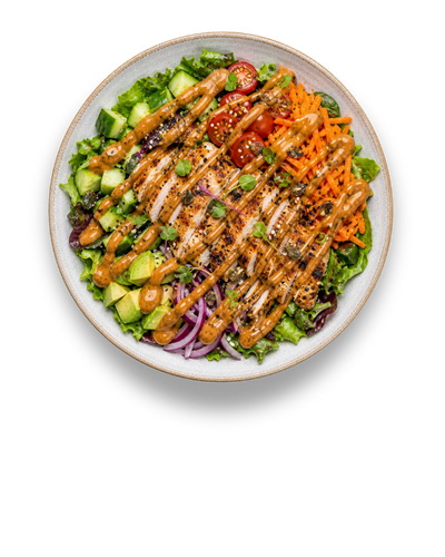Food bowl