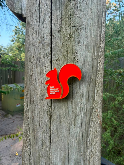 Nodder Our Mascot Pin